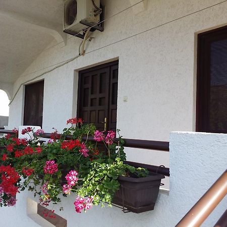 Apartman Tripkovic بار المظهر الخارجي الصورة
