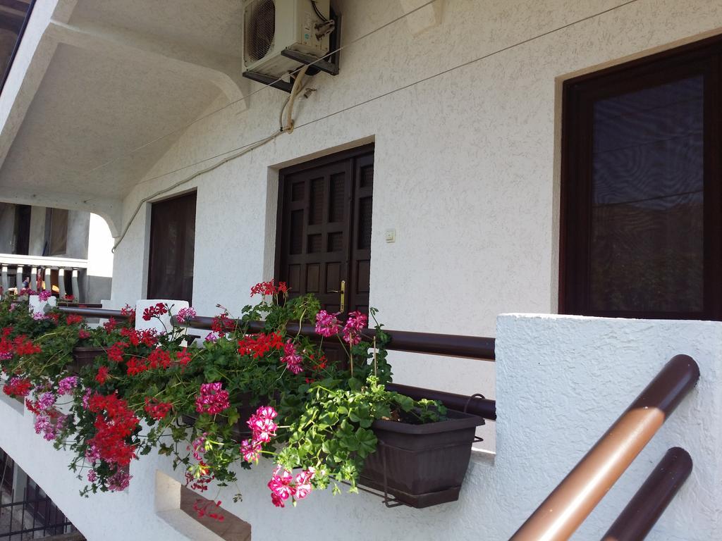 Apartman Tripkovic بار المظهر الخارجي الصورة